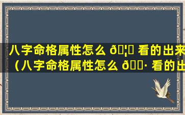 八字命格属性怎么 🦆 看的出来（八字命格属性怎么 🌷 看的出来呢）